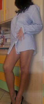 Shellly2
