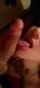 Leccalecca