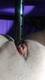 Foto privada de Samy_satc