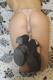 Foto privada de sexybibi